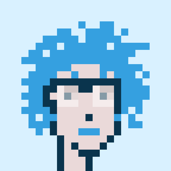 Punk #1055