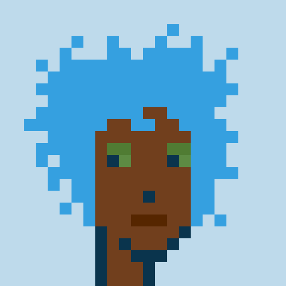 Punk #1212
