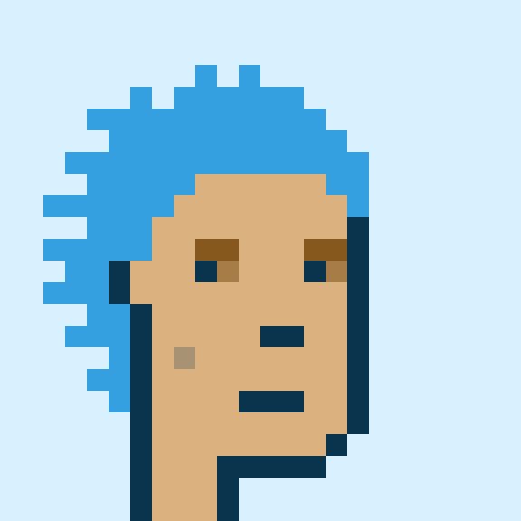 Punk #1244