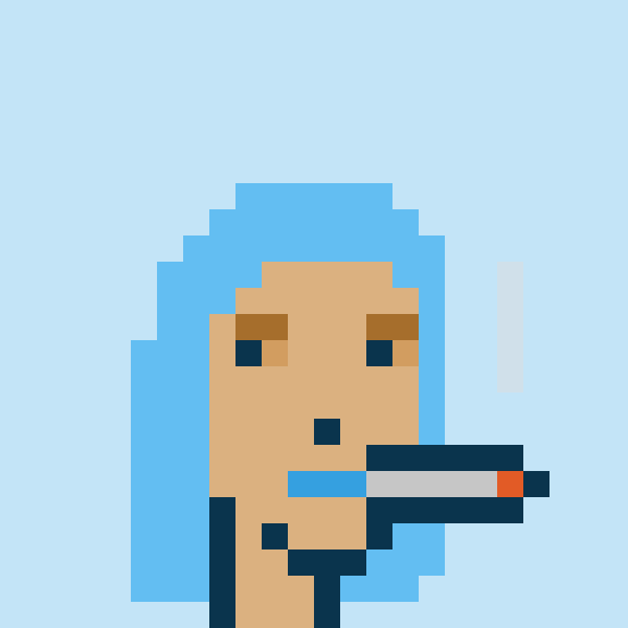 Punk #2455