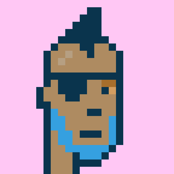 Punk #3019