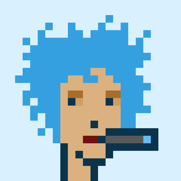 Punk #306
