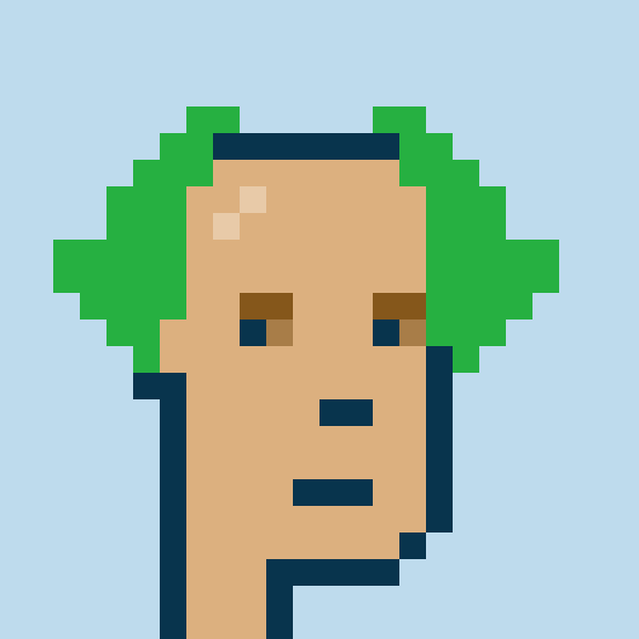 Punk #335