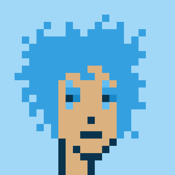 Punk #411