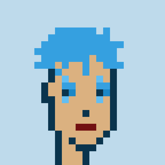 Punk #5043