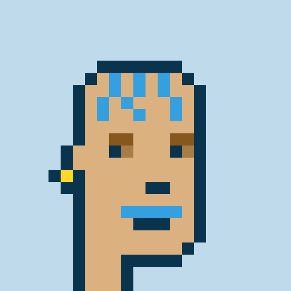 Punk #543