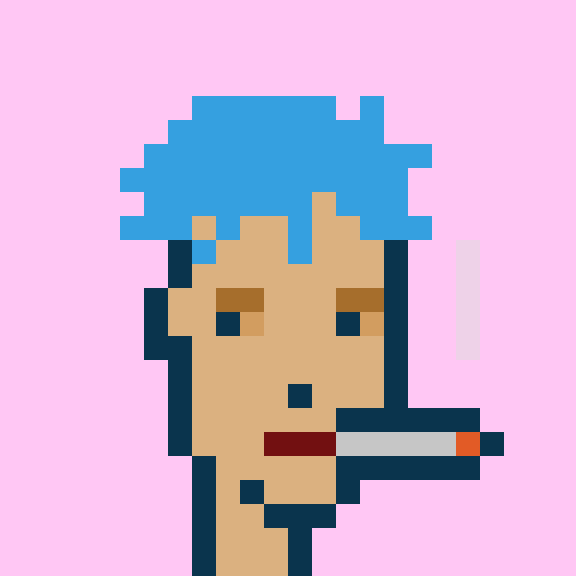 Punk #5796