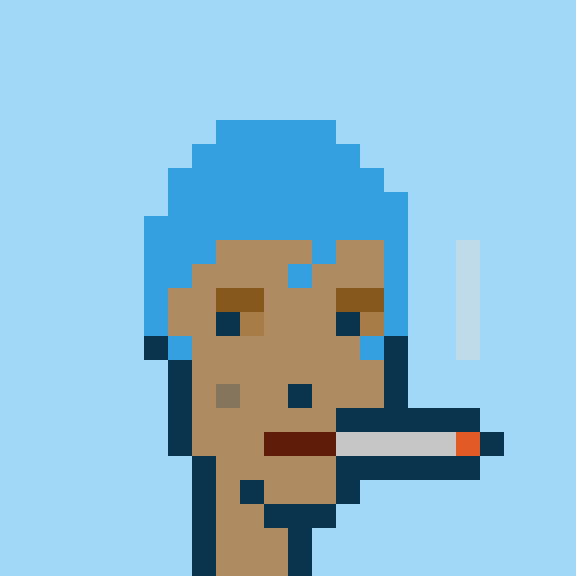 Punk #5808