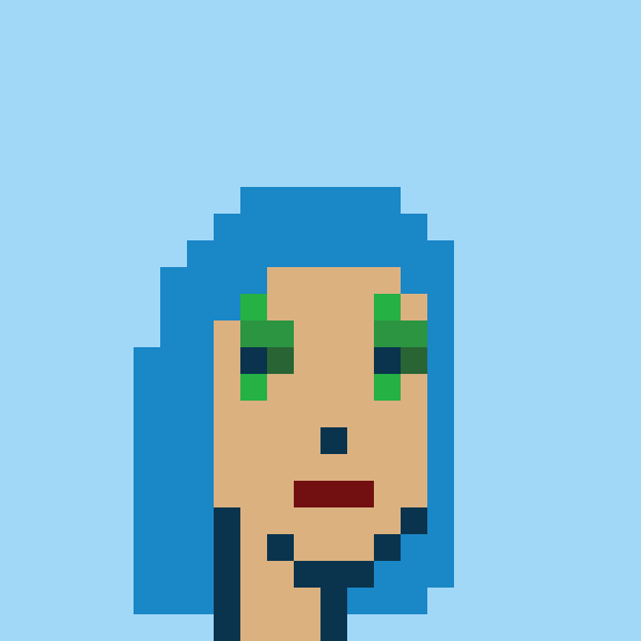 Punk #6045