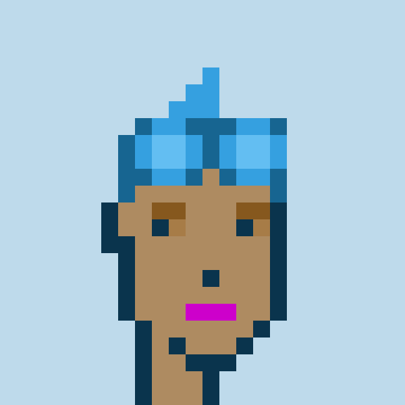 Punk #7079