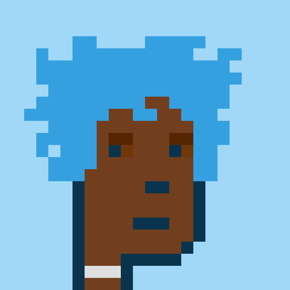 Punk #8088