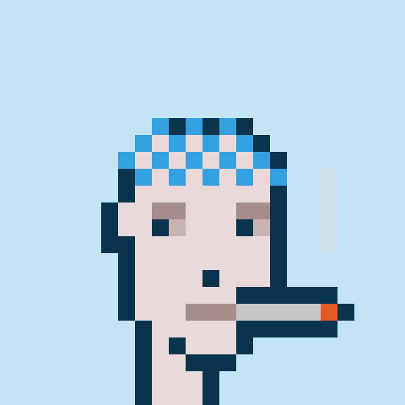 Punk #8456