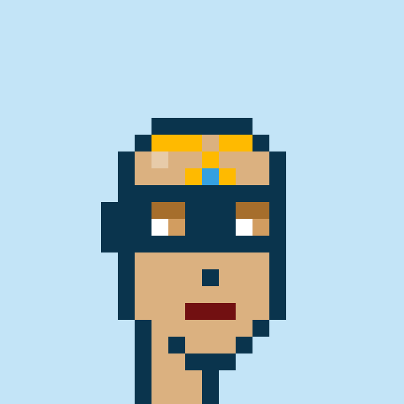 Punk #8527