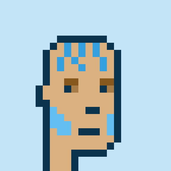 Punk #8542