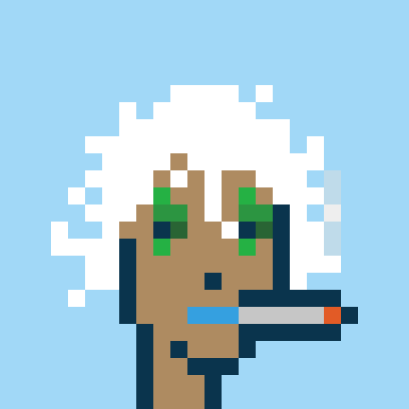 Punk #8896