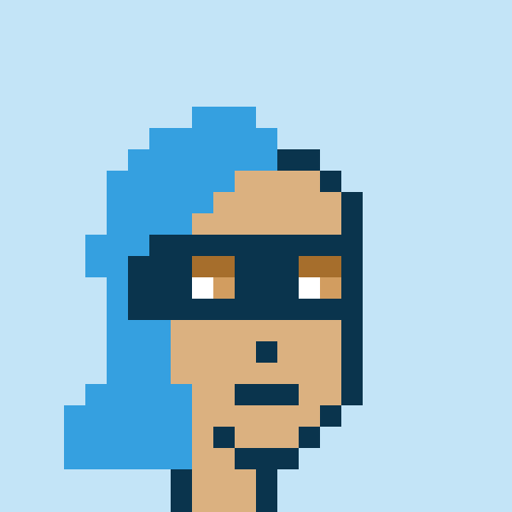 Punk #8955