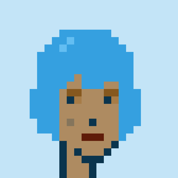 Punk #8973