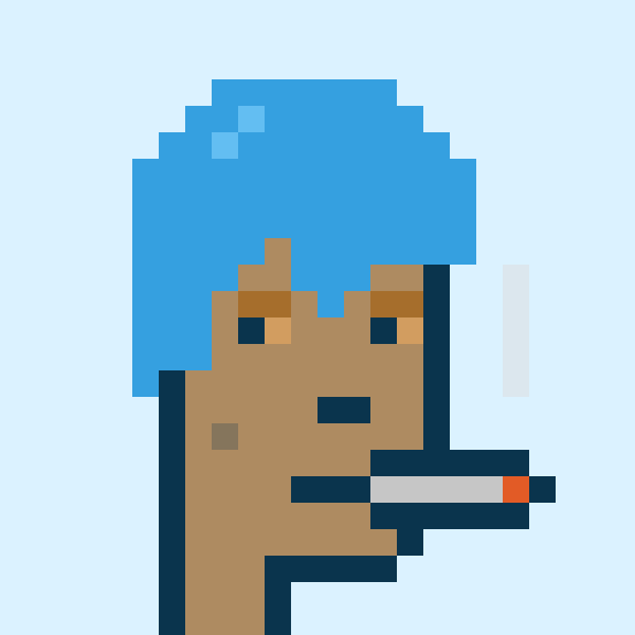 Punk #9055