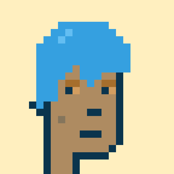 Punk #9114