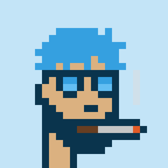 Punk #9570
