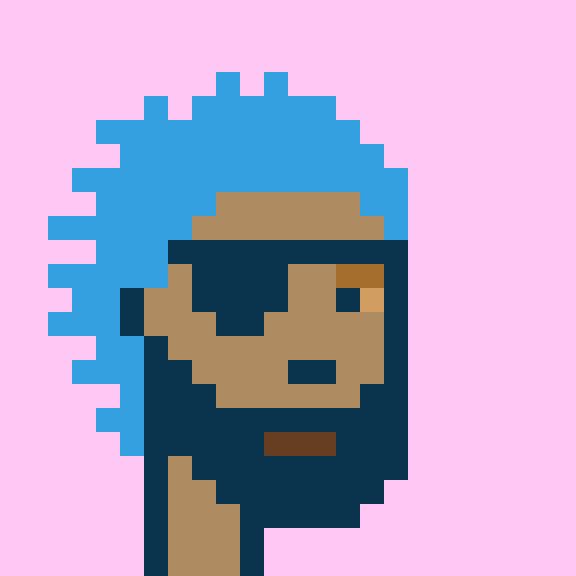Punk #9584
