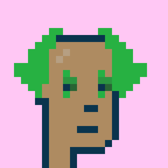 Punk #9588