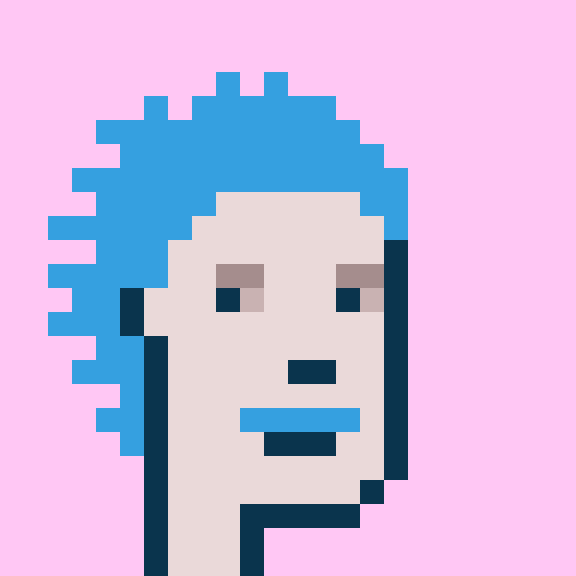 Punk #9877